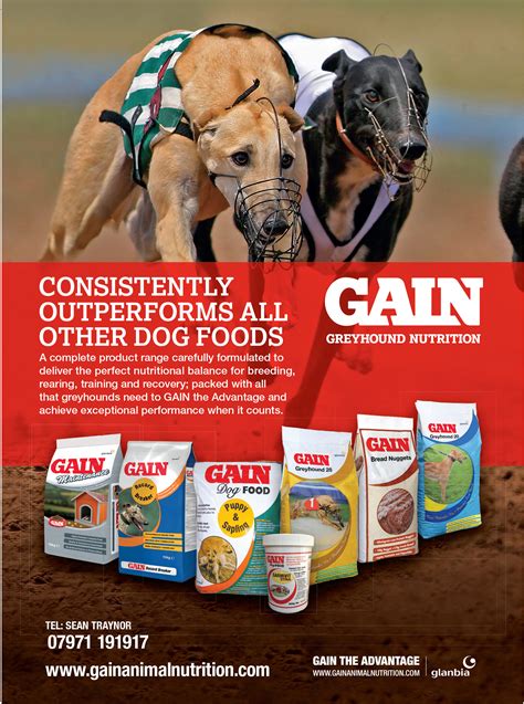 The Greyhound Star updated daily greyhound news.